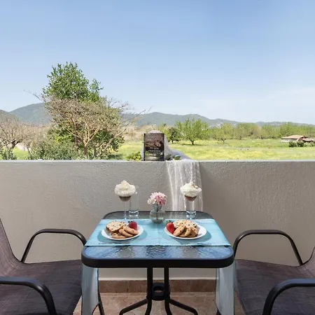 Amo El Mar سيكيا