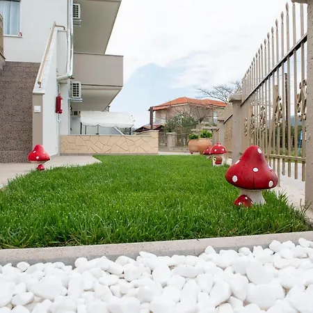 Amo El Mar * سيكيا