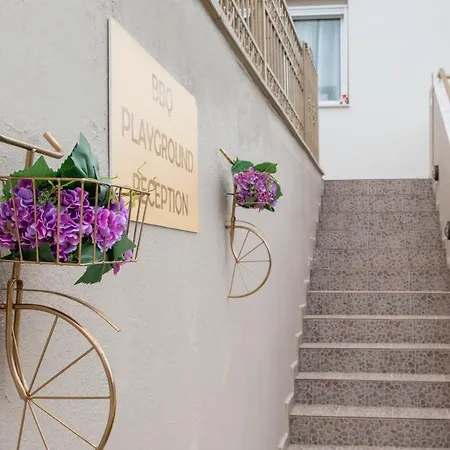 Amo El Mar سيكيا